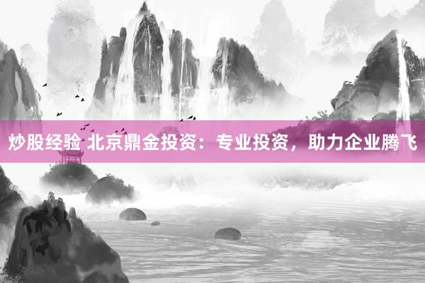 炒股经验 北京鼎金投资：专业投资，助力企业腾飞