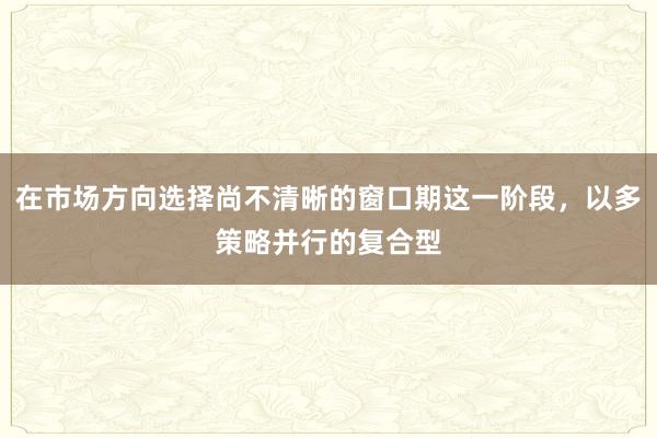 在市场方向选择尚不清晰的窗口期这一阶段，以多策略并行的复合型