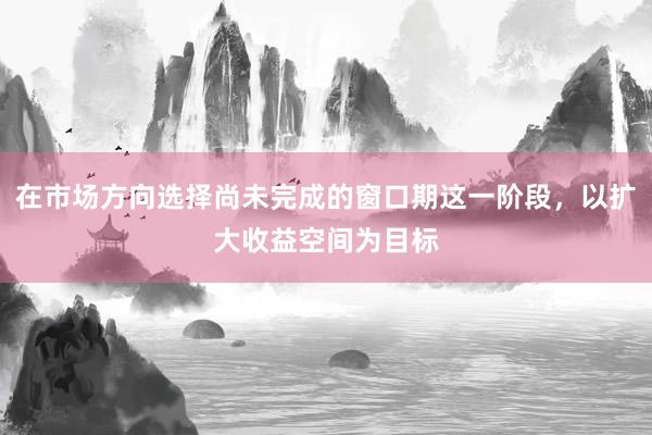 在市场方向选择尚未完成的窗口期这一阶段，以扩大收益空间为目标