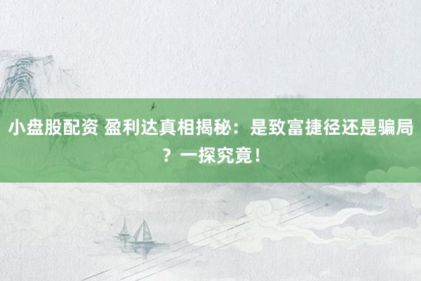 小盘股配资 盈利达真相揭秘：是致富捷径还是骗局？一探究竟！